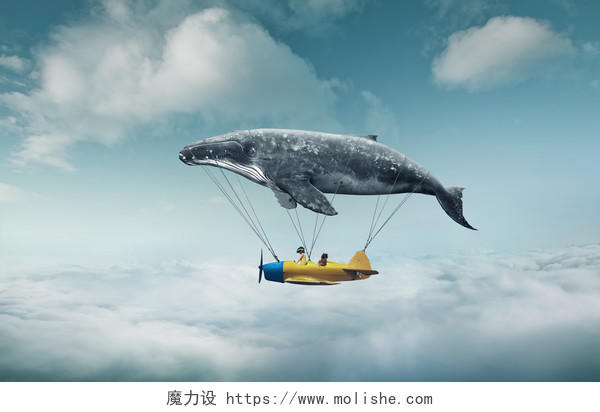 插图绘画鲸鱼带我去做梦两个可爱小女孩坐老式飞机抱着大灰鲸飞过云